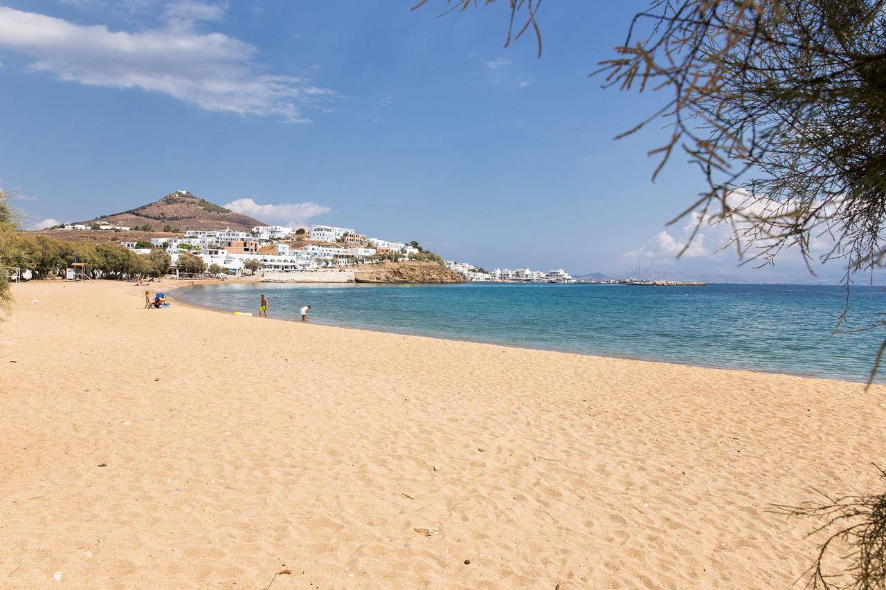 Villa San Dimitrio House On The Beach Логарас Экстерьер фото
