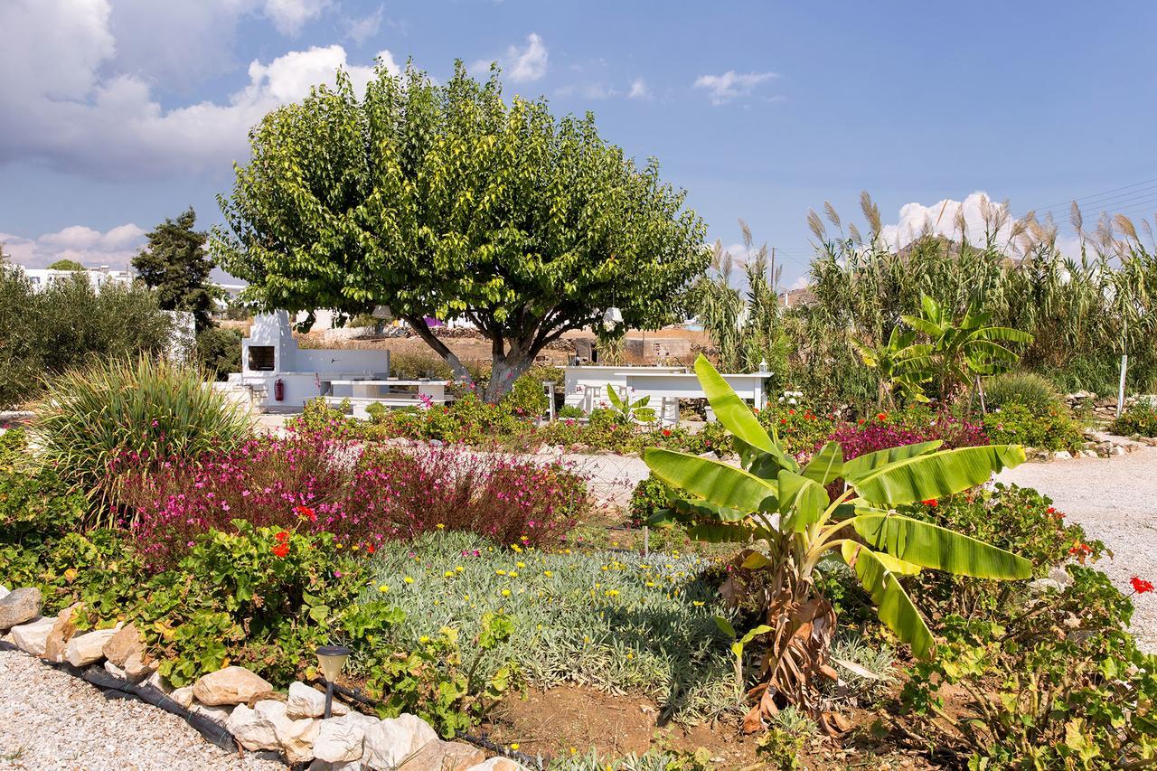 Villa San Dimitrio House On The Beach Логарас Экстерьер фото